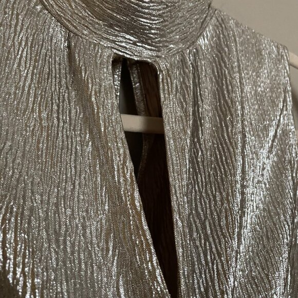 Express, Size M, Sleeveless, Metallic, Blouson Bottom Top - Picture 4 of 9